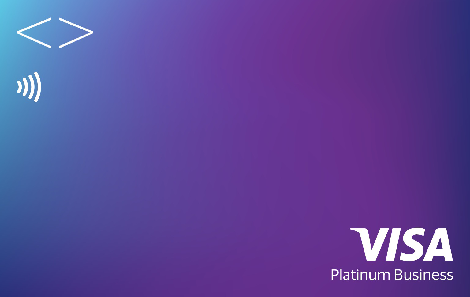 Vynt Visa Platinum card
